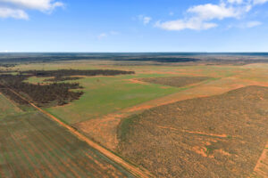 Lot 19 Three Chain Road, TRURO, SA 5356 AUS