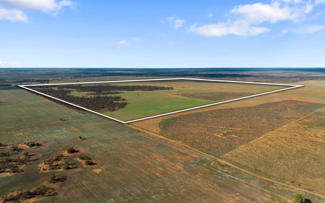 Lot 19 Three Chain Road, TRURO, SA 5356 AUS