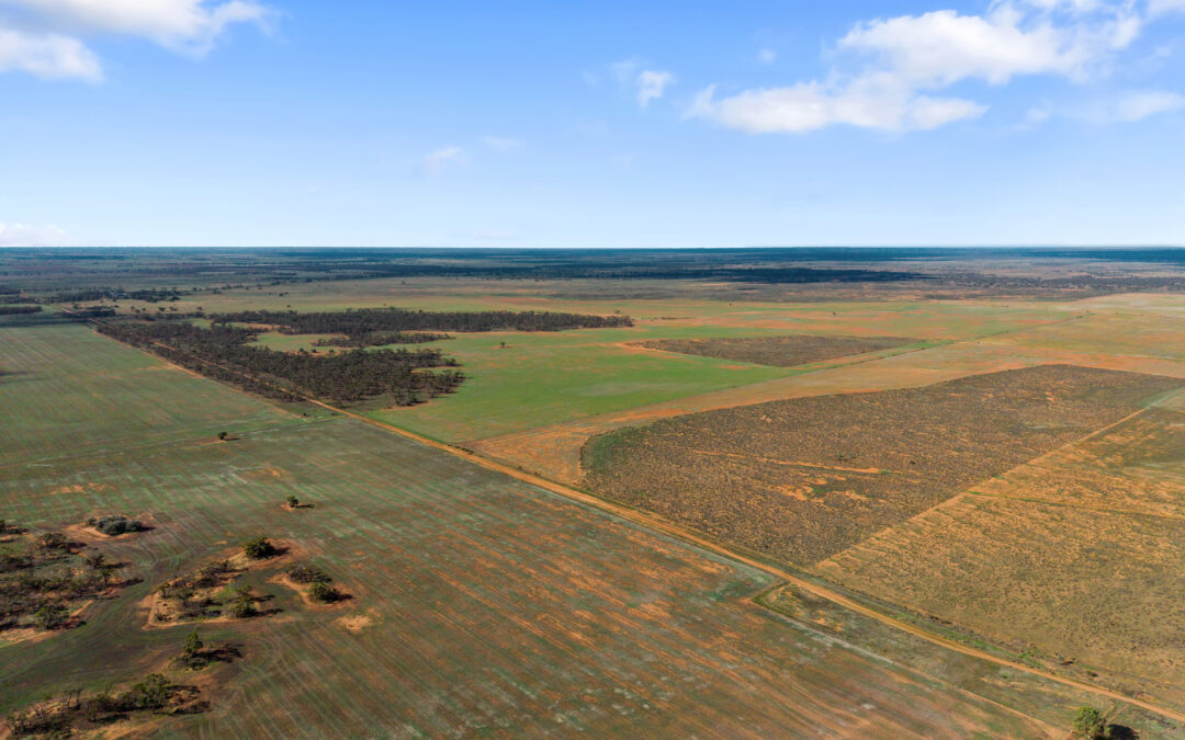 Lot 19 Three Chain Road, TRURO, SA 5356 AUS