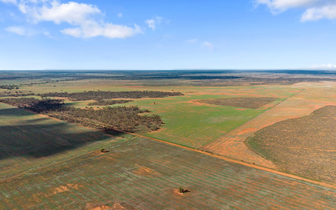 Lot 19 Three Chain Road, TRURO, SA 5356 AUS