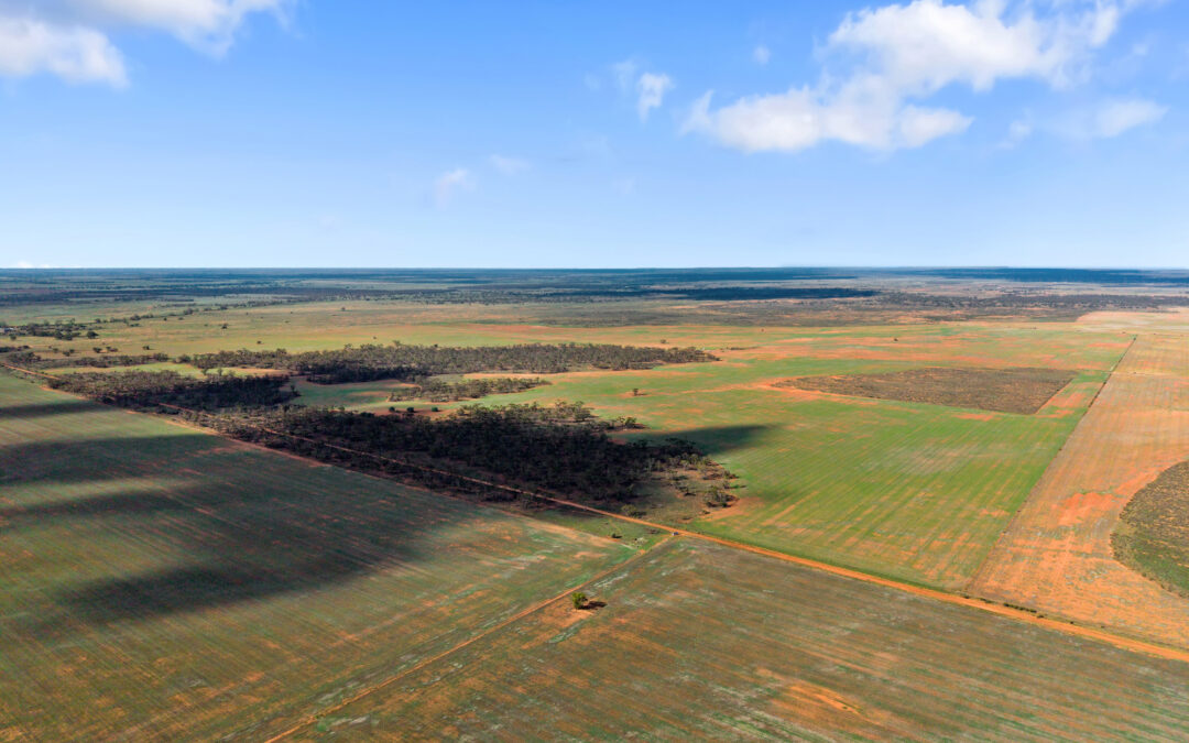 Lot 19 Three Chain Road, TRURO, SA 5356 AUS