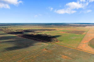 Lot 19 Three Chain Road, TRURO, SA 5356 AUS