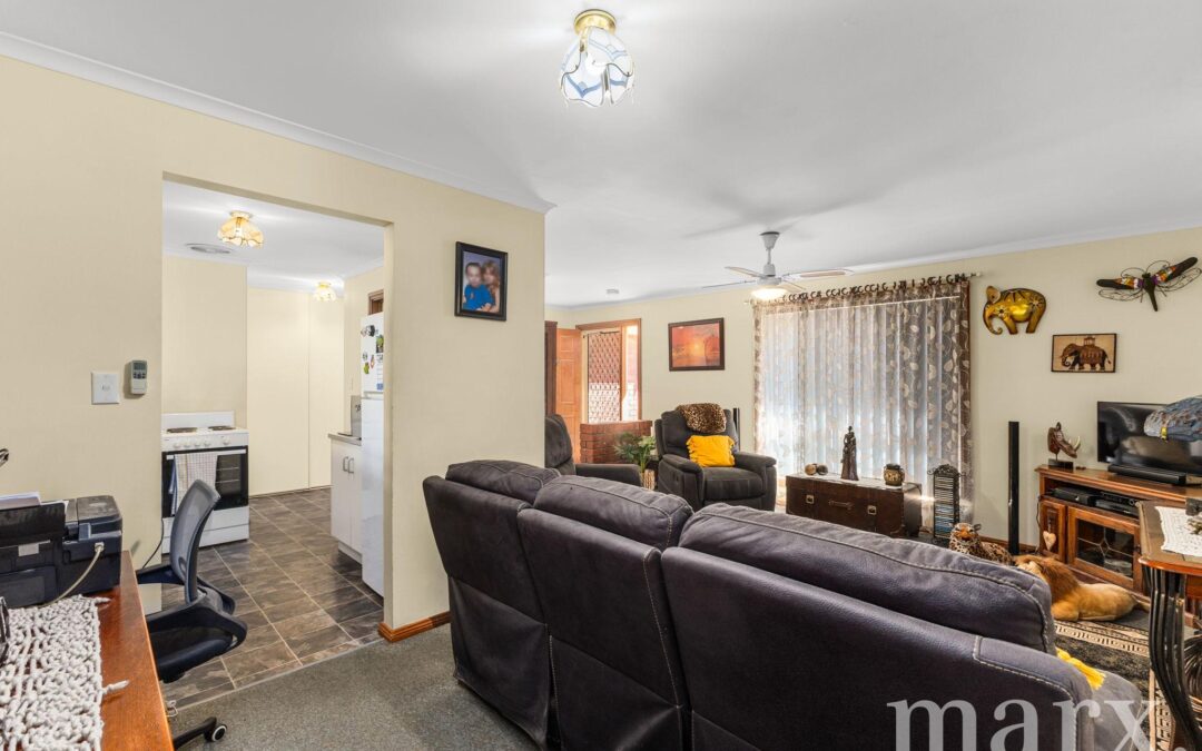 10 Sauvignon Street, NURIOOTPA, SA 5355 AUS