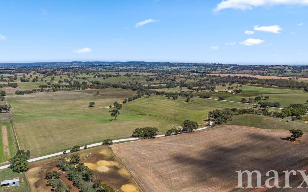 Lot 499 Gnadenberg Road, MOCULTA, SA 5353 AUS