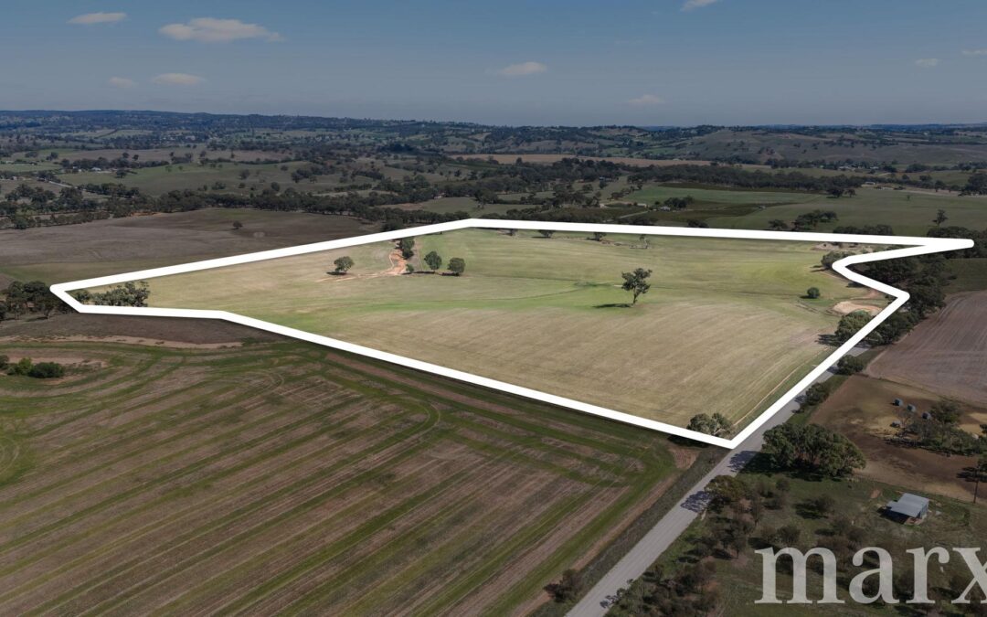 Lot 499 Gnadenberg Road, MOCULTA, SA 5353 AUS