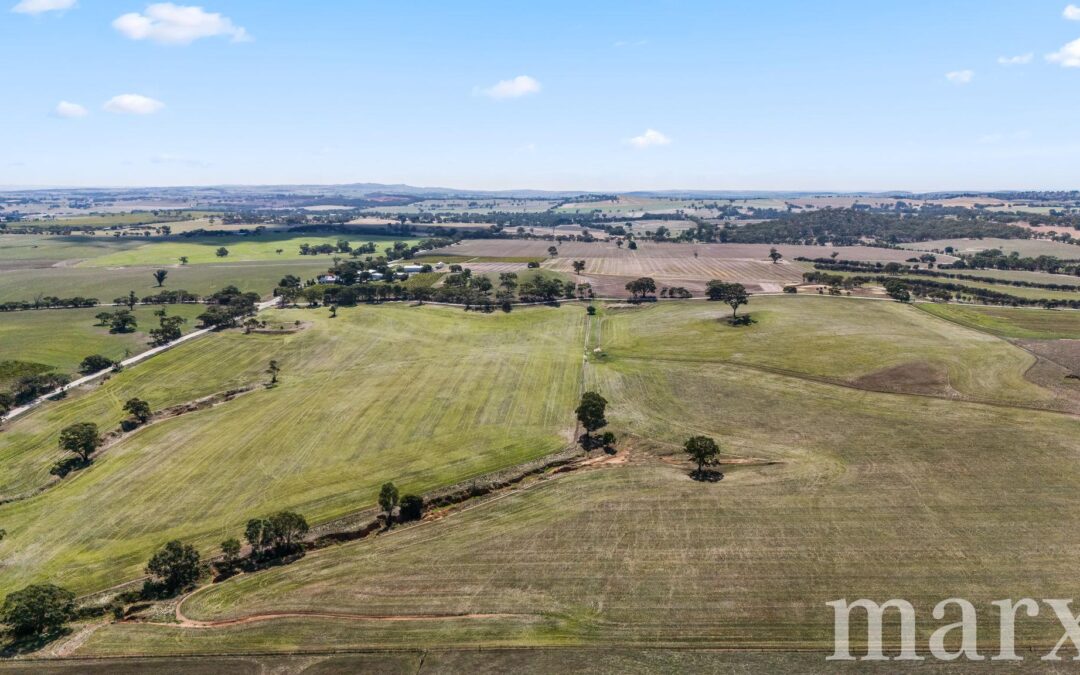 Lot 499 Gnadenberg Road, MOCULTA, SA 5353 AUS