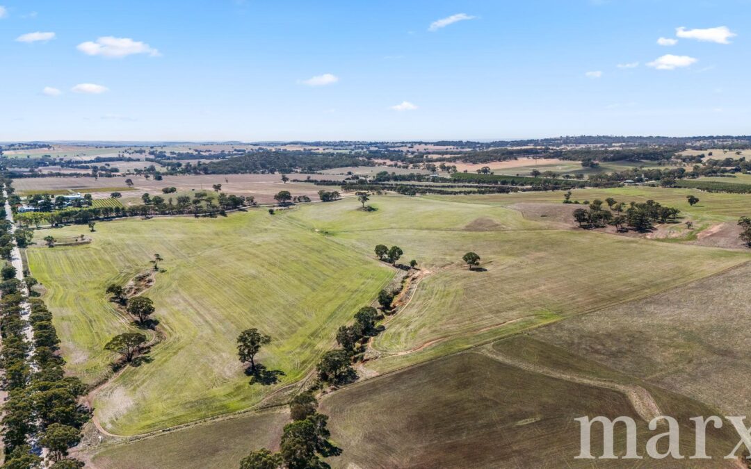 Lot 499 Gnadenberg Road, MOCULTA, SA 5353 AUS