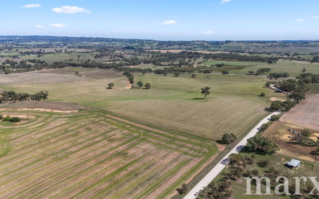 Lot 499 Gnadenberg Road, MOCULTA, SA 5353 AUS