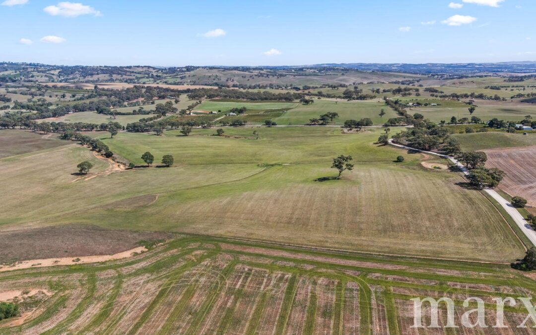 Lot 499 Gnadenberg Road, MOCULTA, SA 5353 AUS