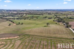 Lot 499 Gnadenberg Road, MOCULTA, SA 5353 AUS