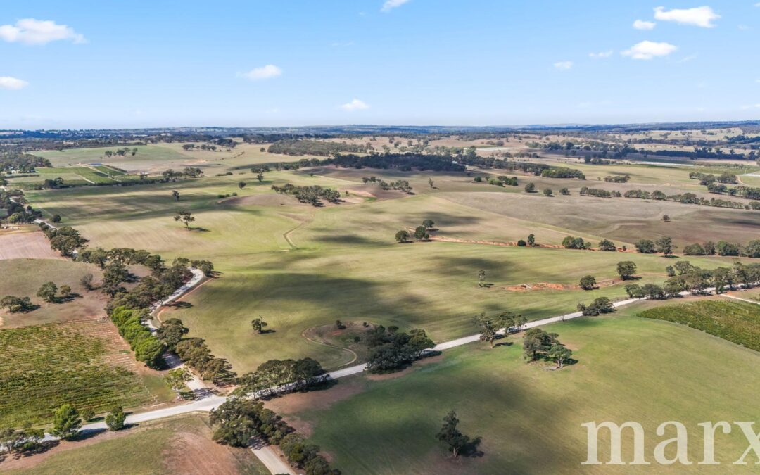 Lot 499 Gnadenberg Road, MOCULTA, SA 5353 AUS