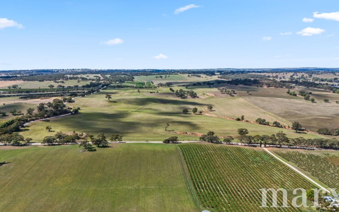 Lot 499 Gnadenberg Road, MOCULTA, SA 5353 AUS