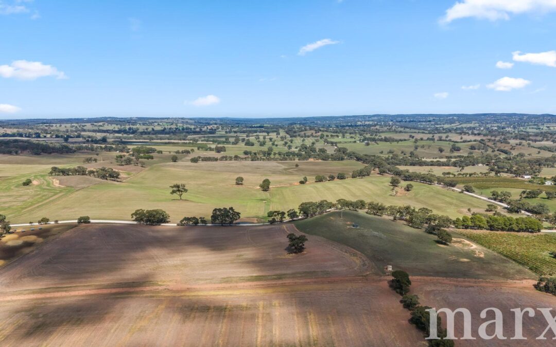 Lot 499 Gnadenberg Road, MOCULTA, SA 5353 AUS