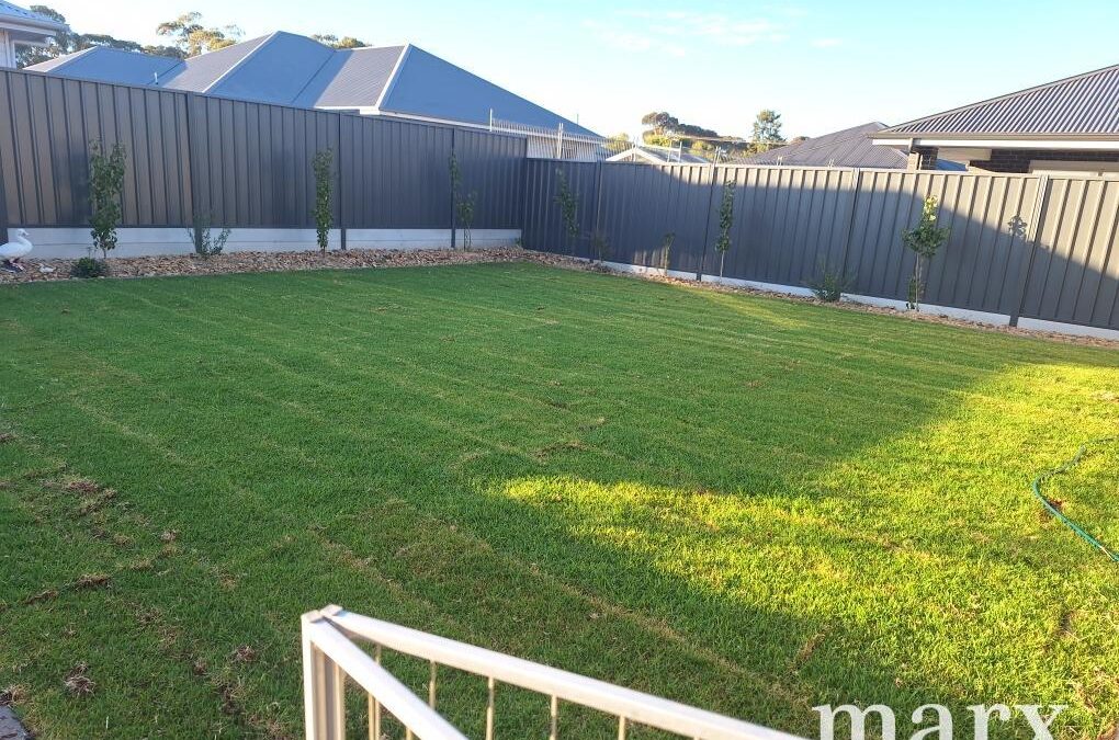 36 Krieg Street, NURIOOTPA, SA 5355 AUS