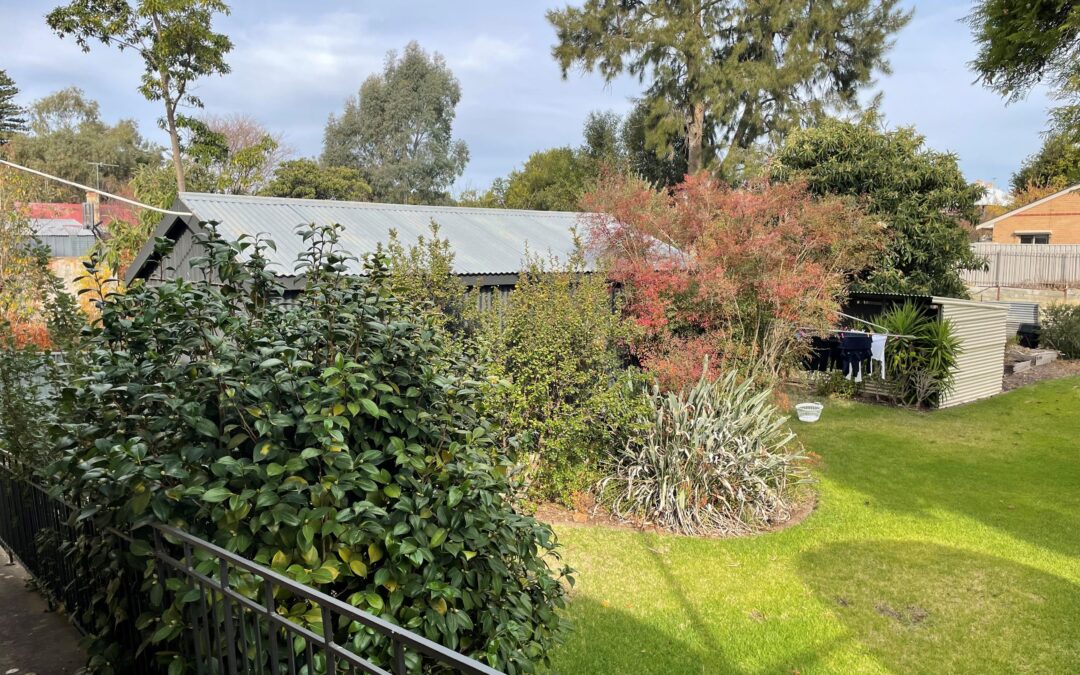 32 John Street, TANUNDA, SA 5352 AUS