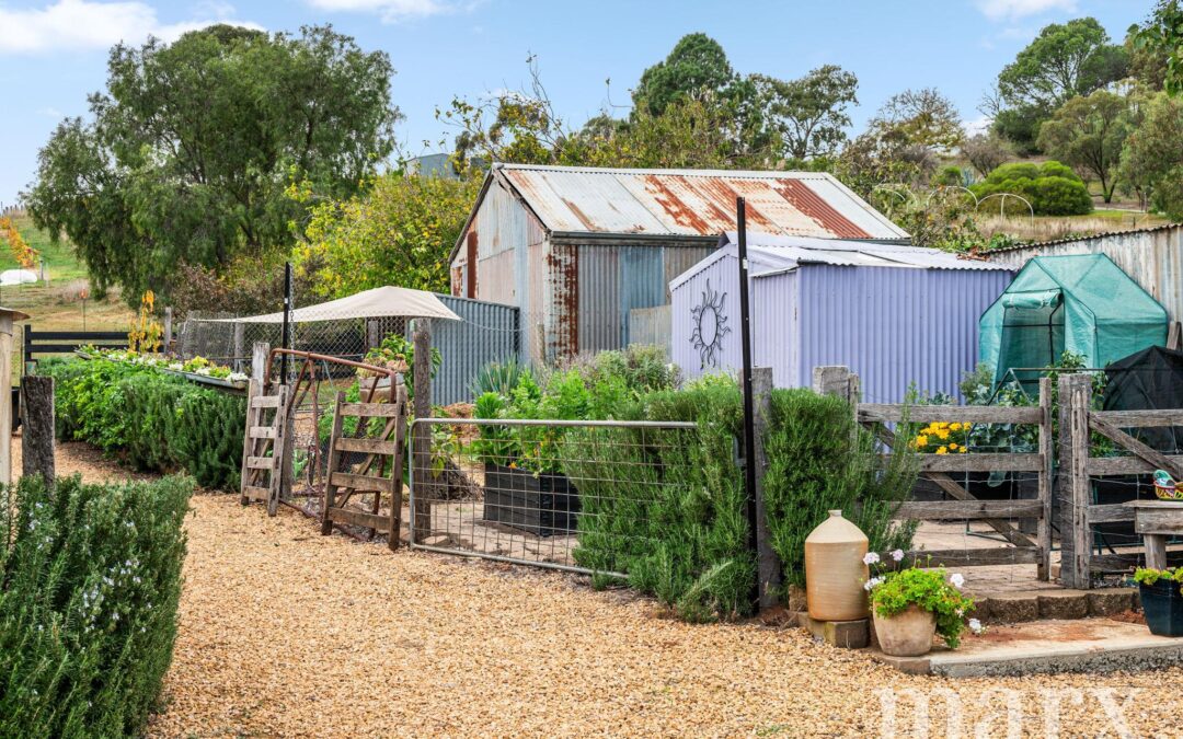 3 Yalumba Terrace, ANGASTON, SA 5353 AUS