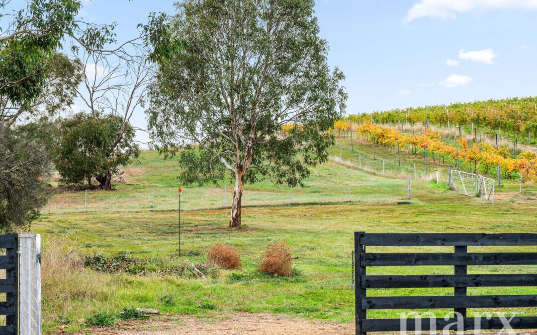 3 Yalumba Terrace, ANGASTON, SA 5353 AUS