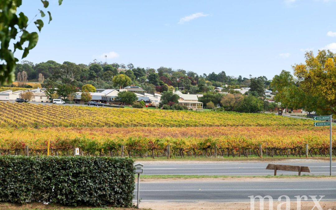 3 Yalumba Terrace, ANGASTON, SA 5353 AUS