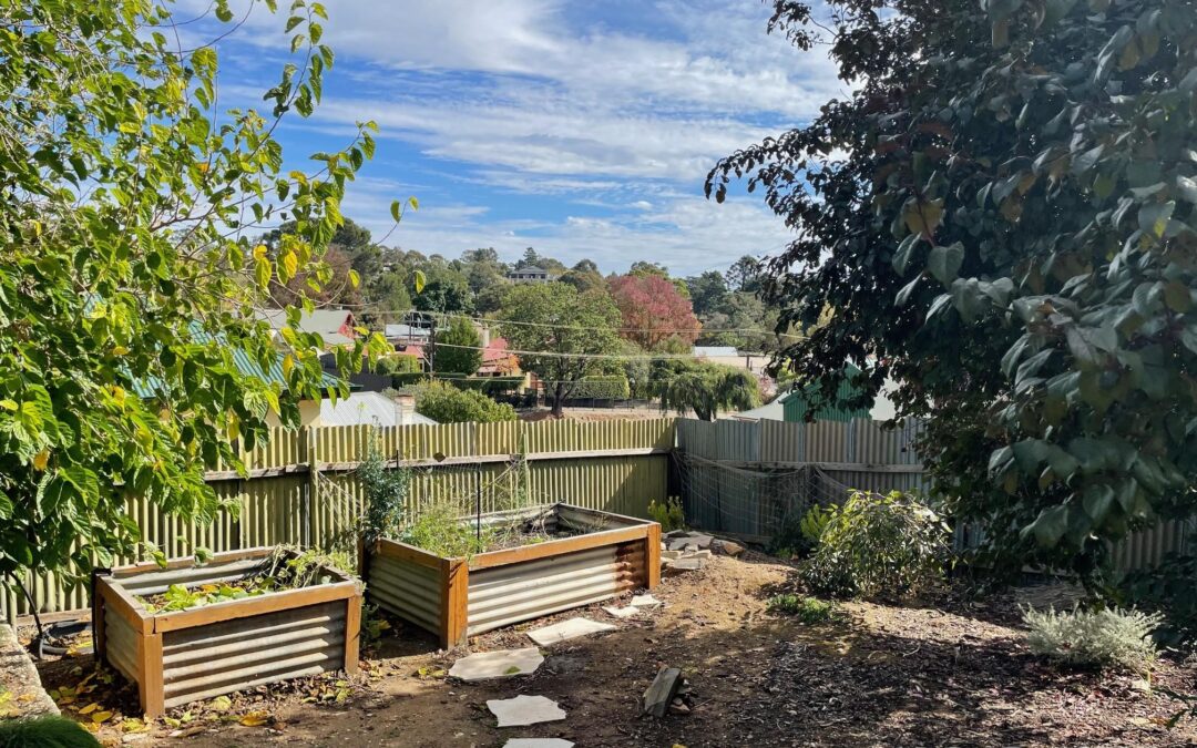 12 Collins Street, ANGASTON, SA 5353 AUS