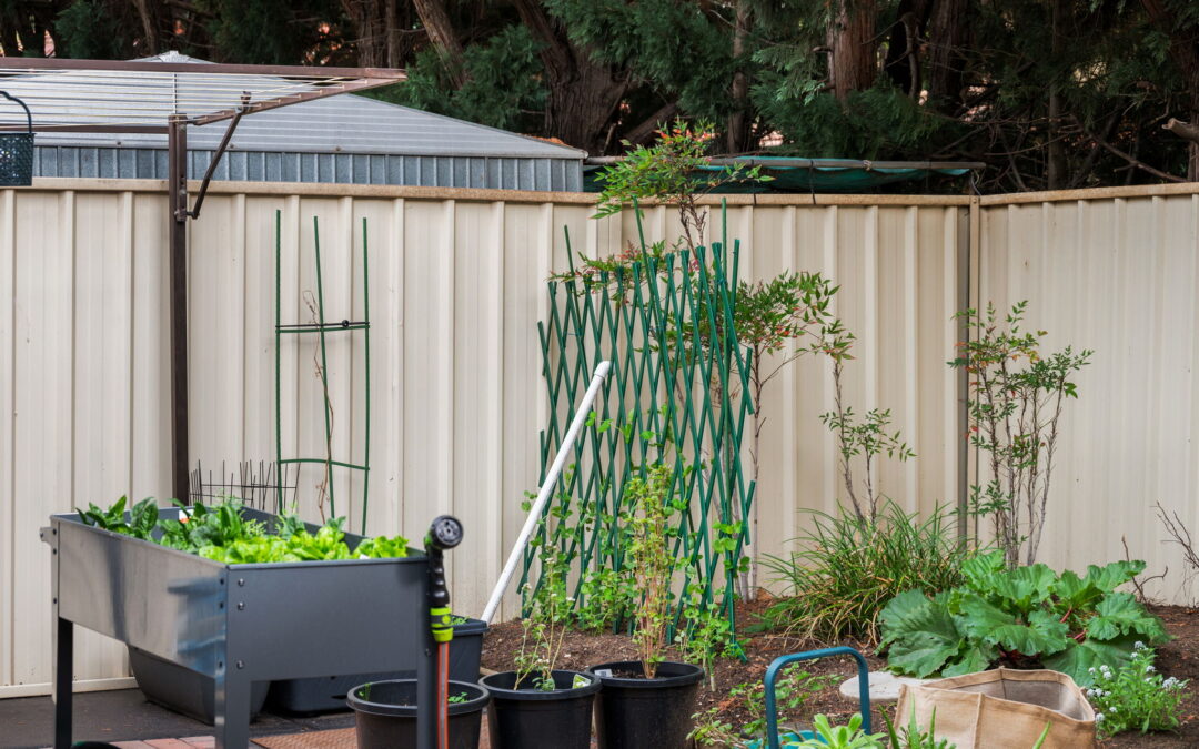 10/24 Elizabeth Street, TANUNDA, SA 5352 AUS