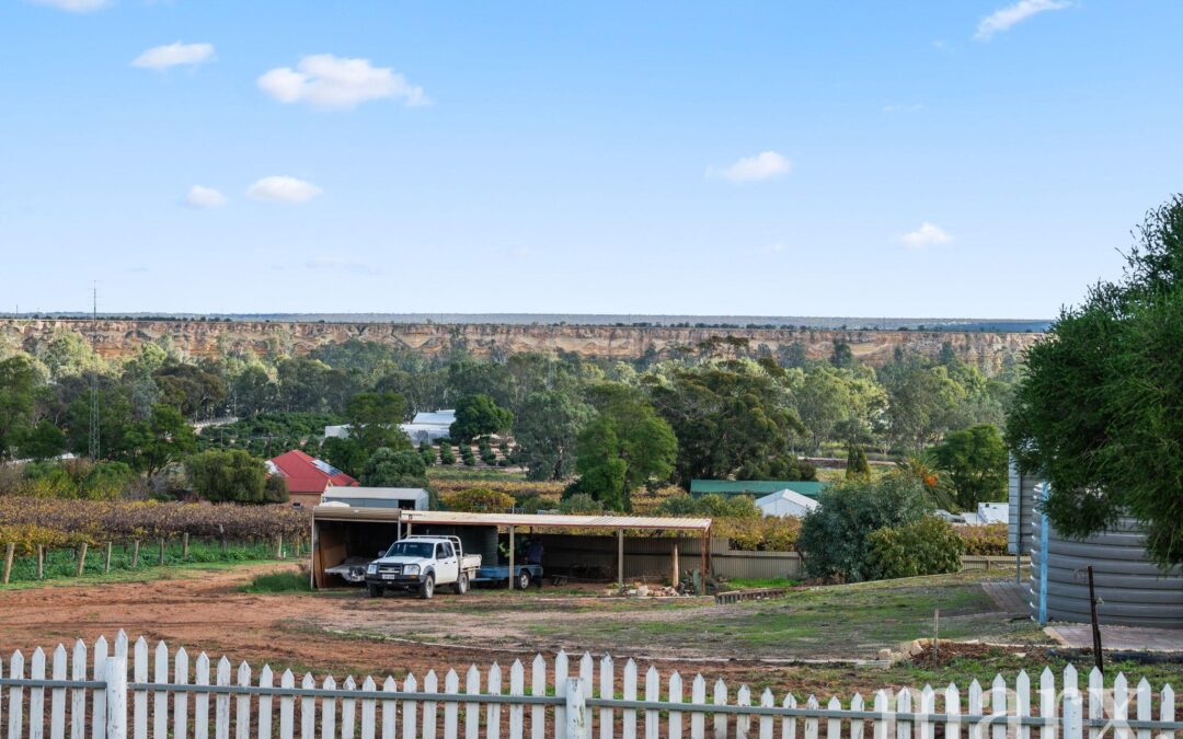 8985 Sturt Highway, PAISLEY, SA 5357 AUS