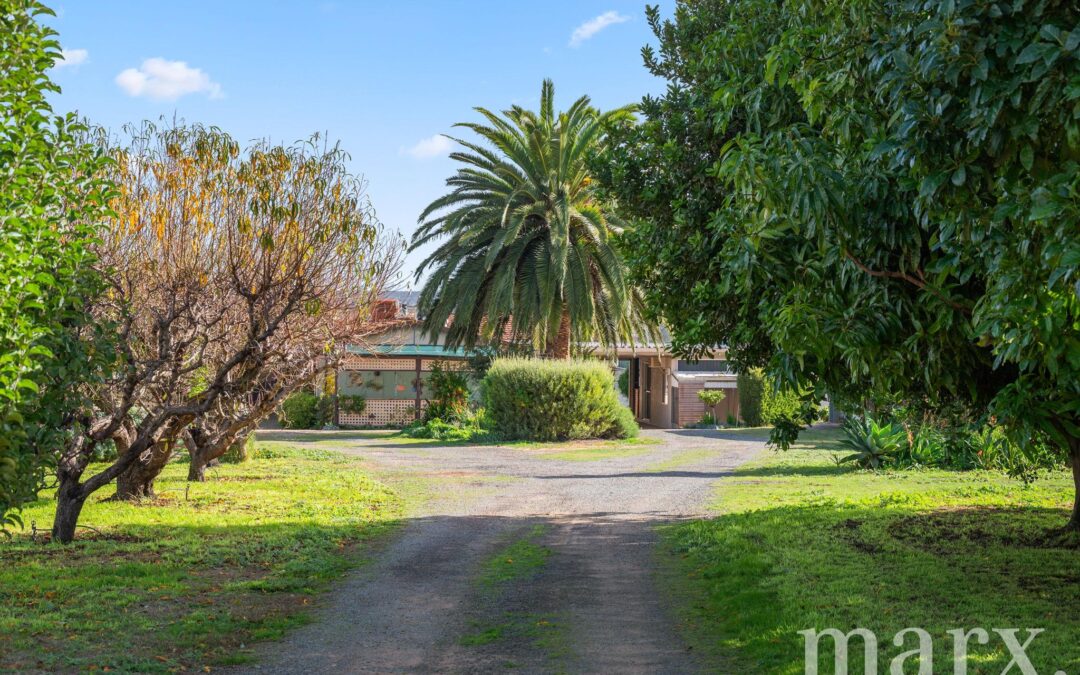 8985 Sturt Highway, PAISLEY, SA 5357 AUS