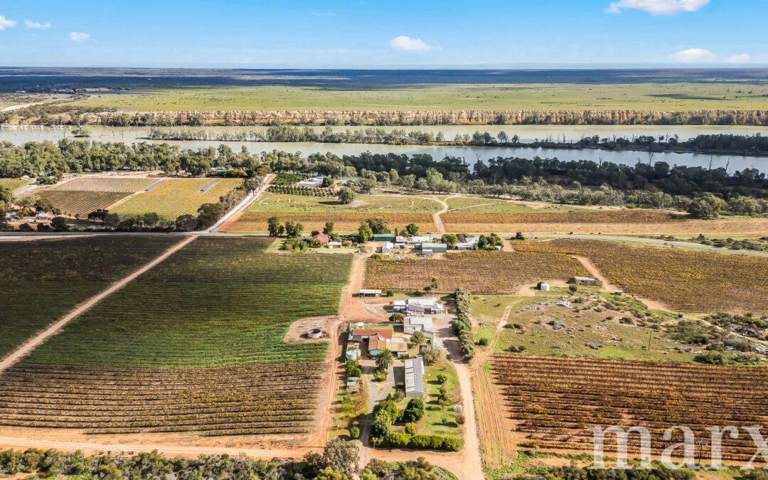 8985 Sturt Highway, PAISLEY, SA 5357 AUS