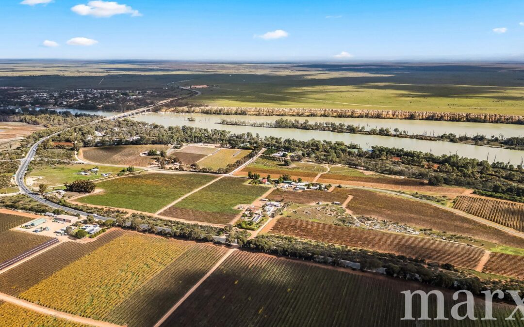 8985 Sturt Highway, PAISLEY, SA 5357 AUS