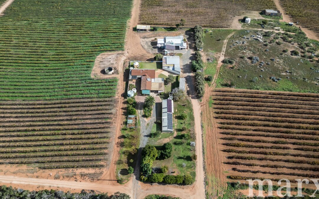 8989 Sturt Highway, PAISLEY, SA 5357 AUS