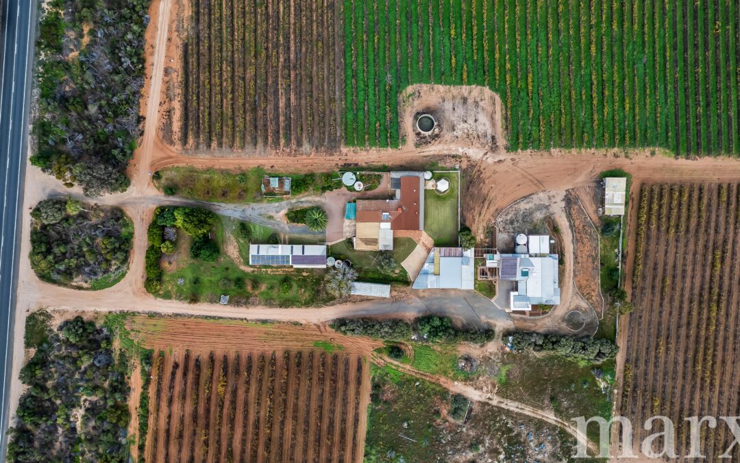 8989 Sturt Highway, PAISLEY, SA 5357 AUS