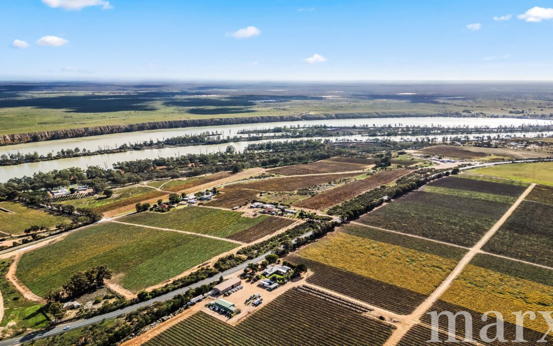 8989 Sturt Highway, PAISLEY, SA 5357 AUS