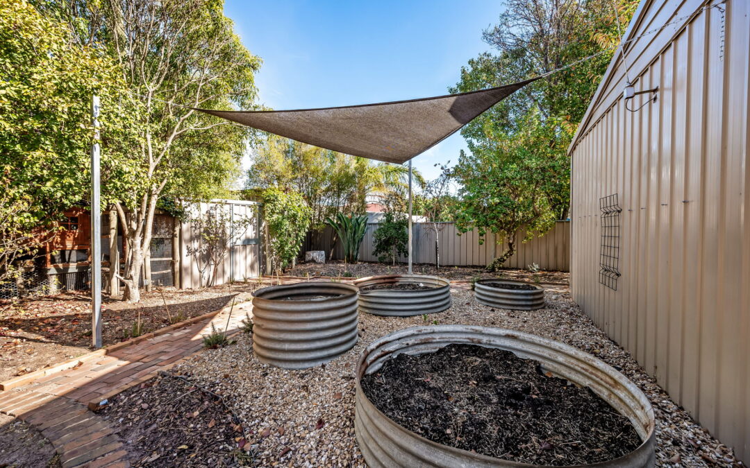 24 Auricht Avenue, TANUNDA, SA 5352 AUS