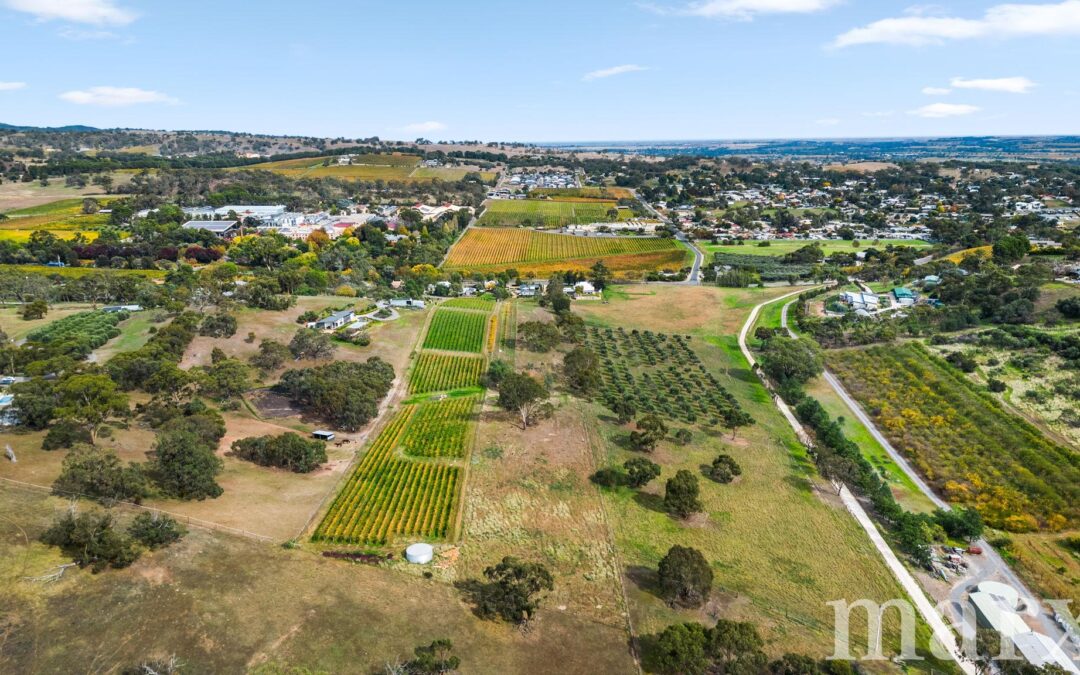 3 Yalumba Terrace, ANGASTON, SA 5353 AUS