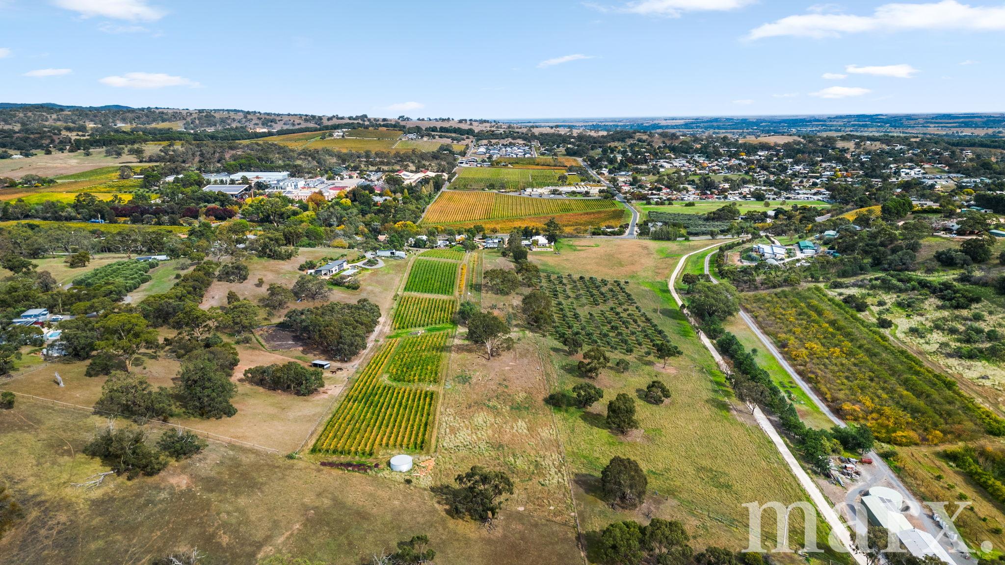3 Yalumba Terrace, ANGASTON, SA 5353