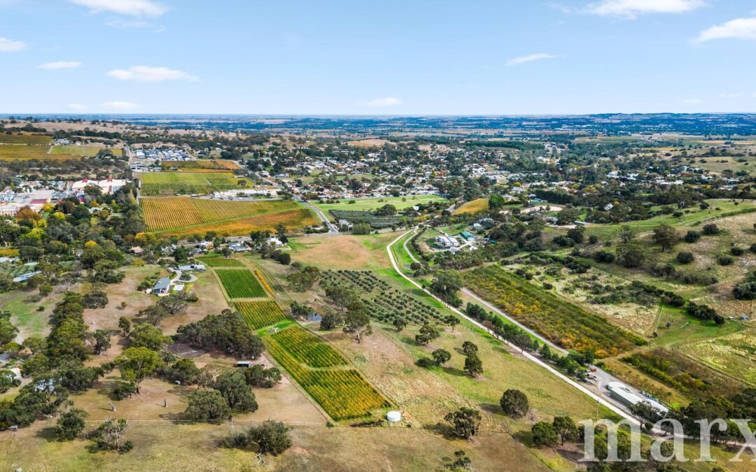 3 Yalumba Terrace, ANGASTON, SA 5353 AUS