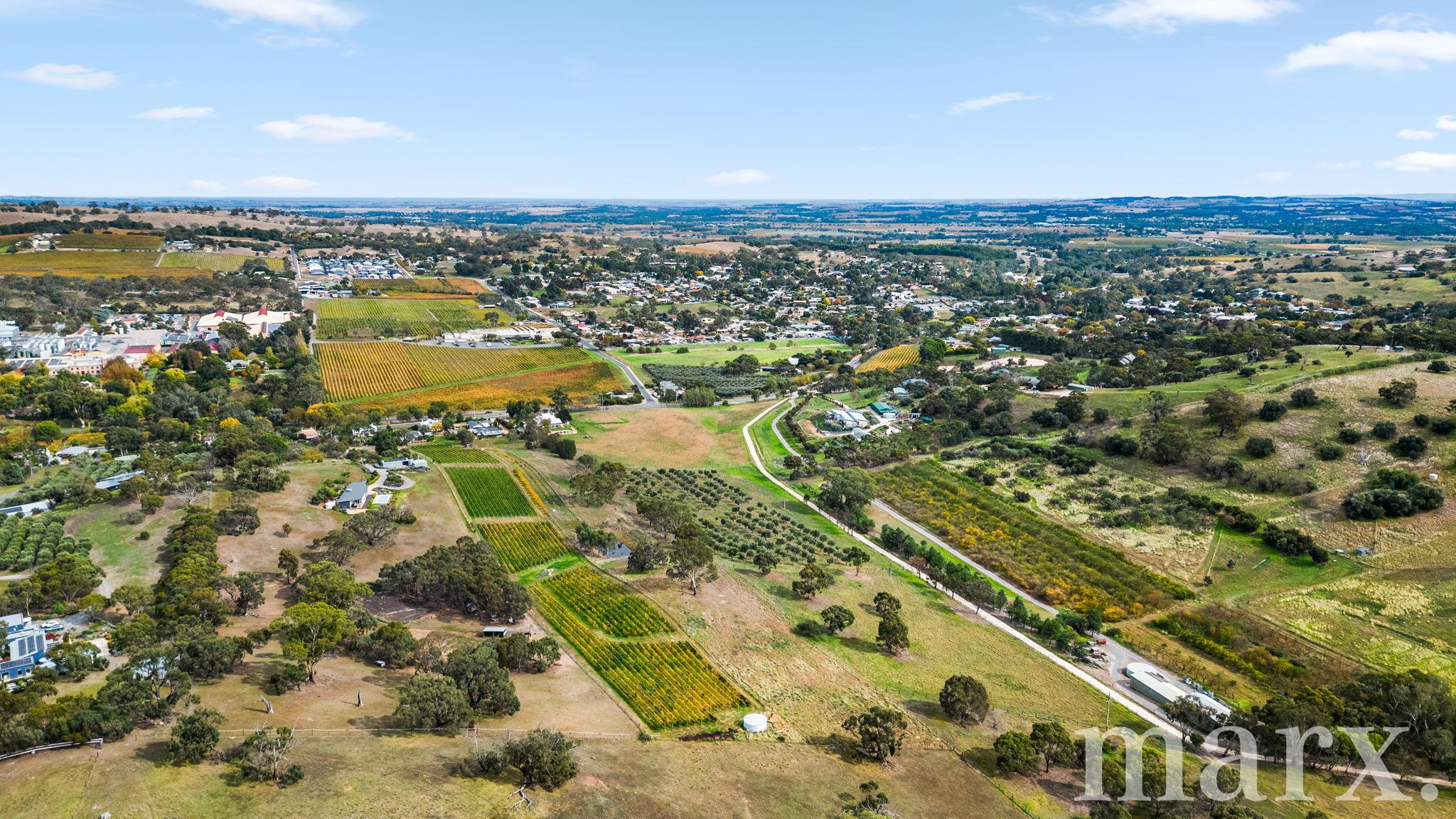 3 Yalumba Terrace, ANGASTON, SA 5353
