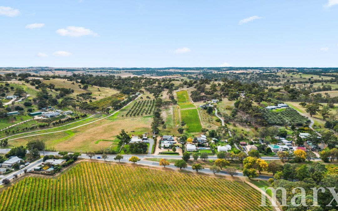 3 Yalumba Terrace, ANGASTON, SA 5353 AUS