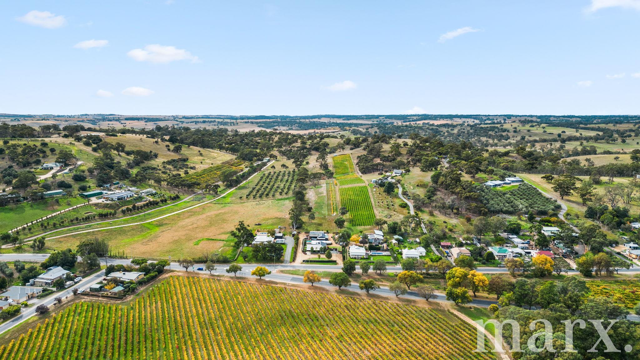 3 Yalumba Terrace, ANGASTON, SA 5353