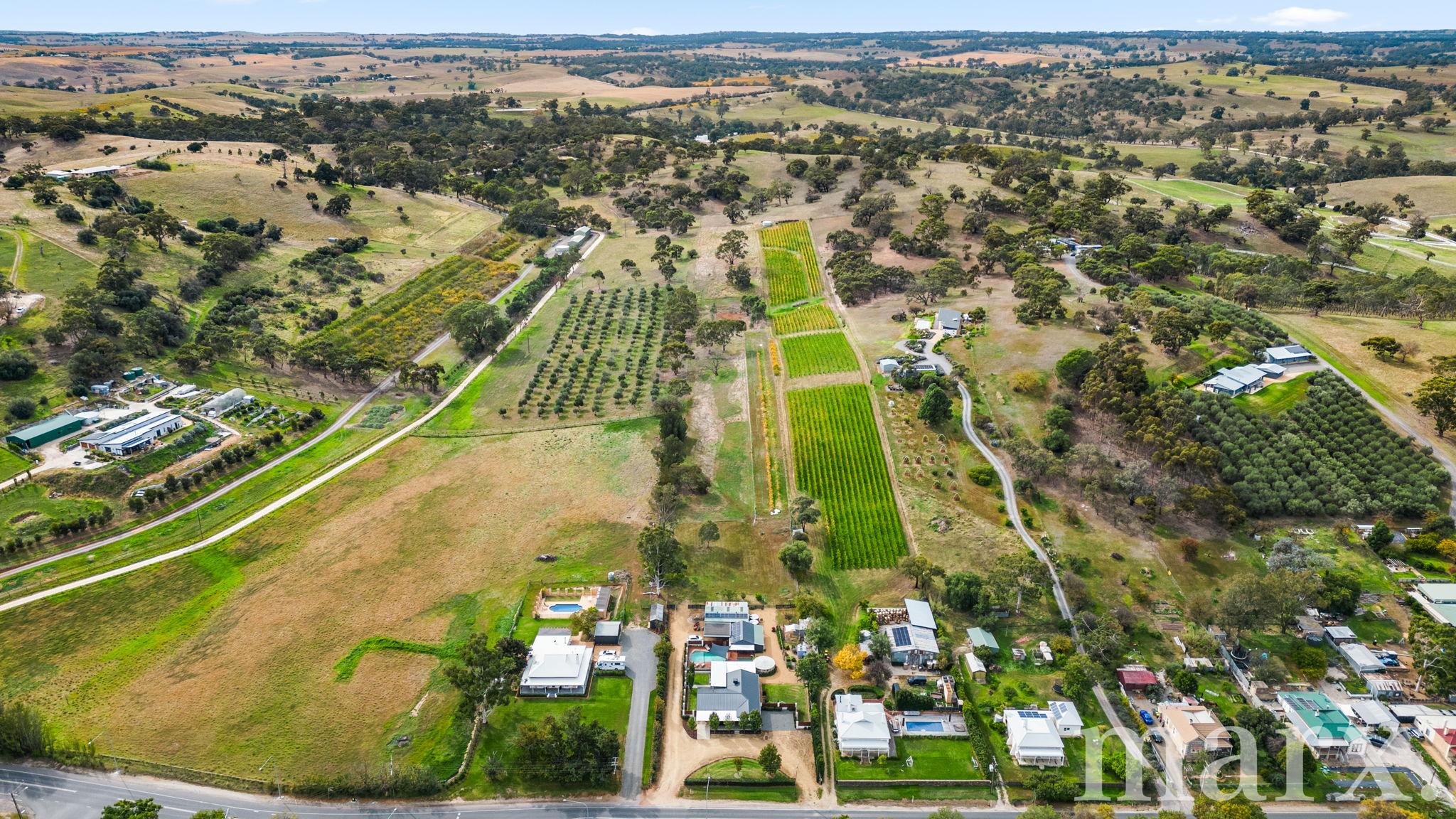 3 Yalumba Terrace, ANGASTON, SA 5353