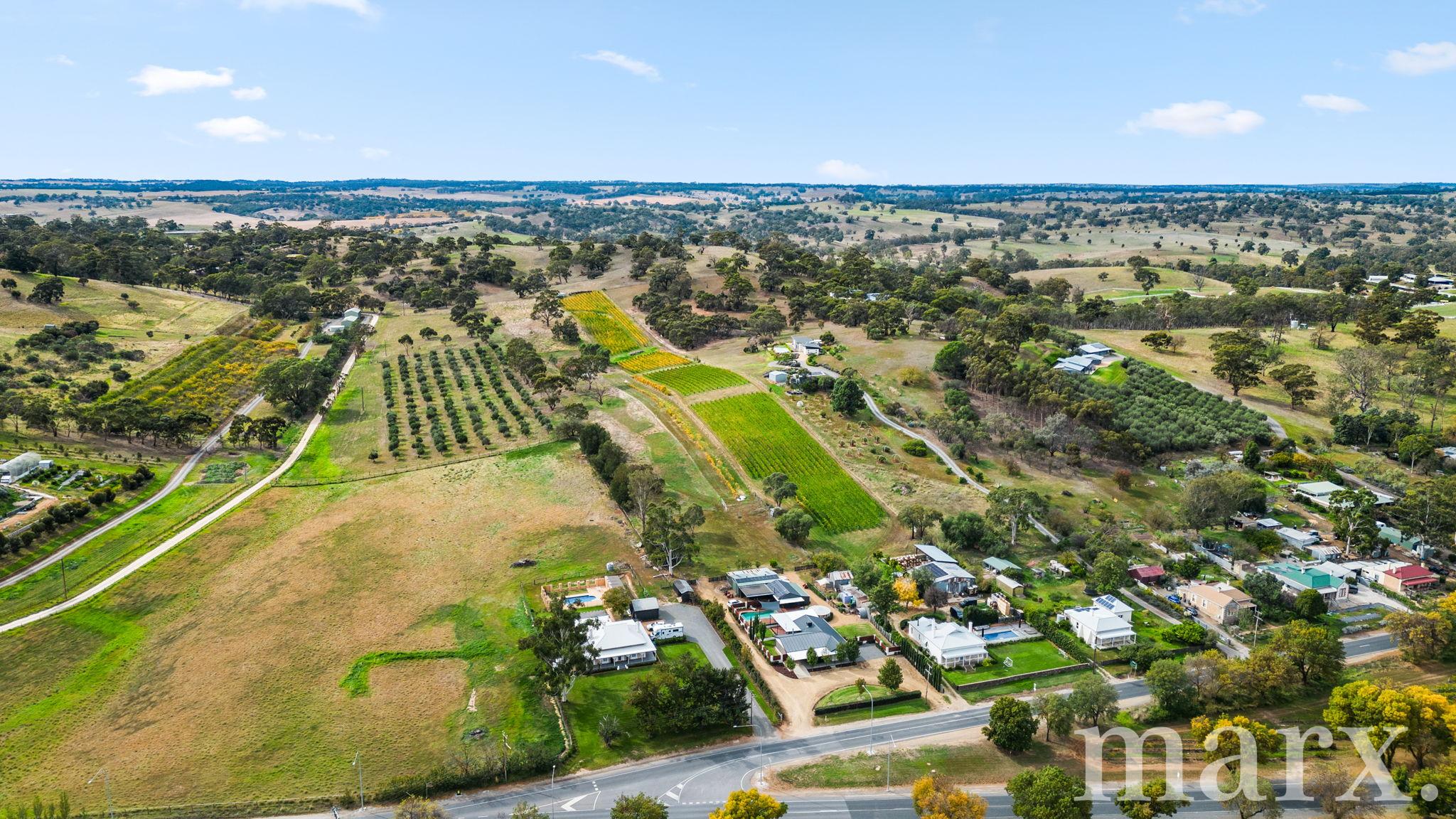 3 Yalumba Terrace, ANGASTON, SA 5353