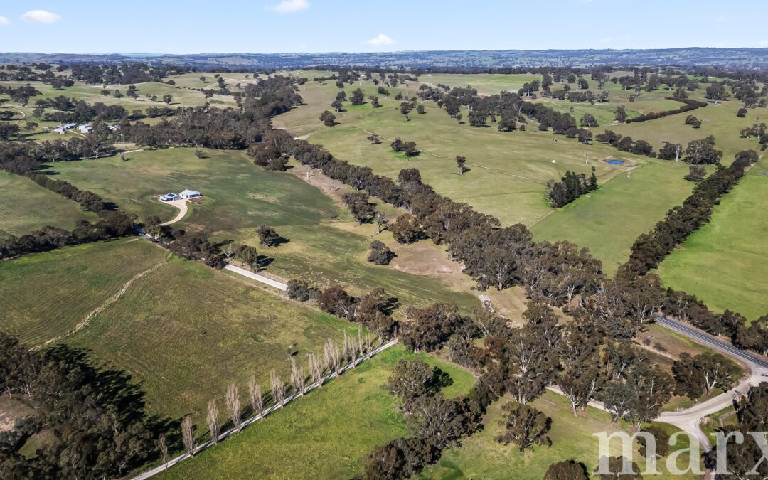 50 Hearls Road, FLAXMAN VALLEY, SA 5235 AUS