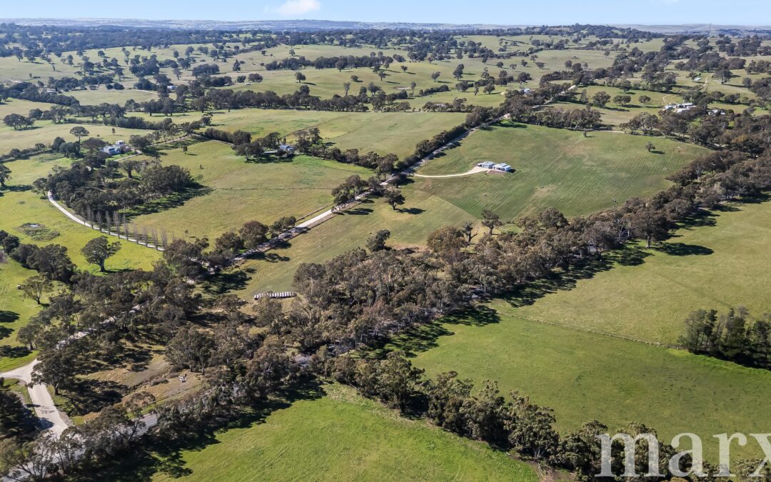 50 Hearls Road, FLAXMAN VALLEY, SA 5235 AUS