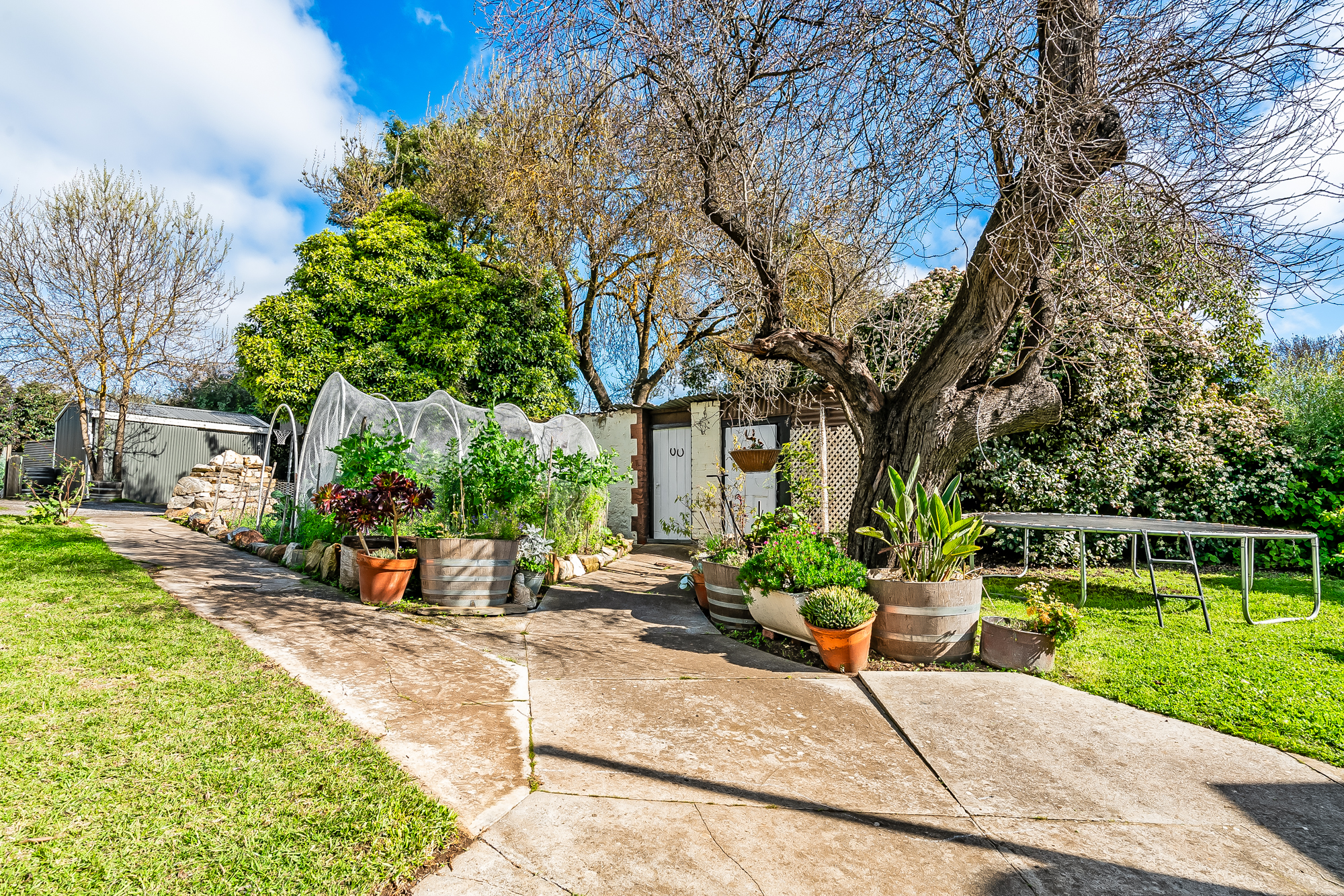 16 Sturt Street, ANGASTON, SA 5353