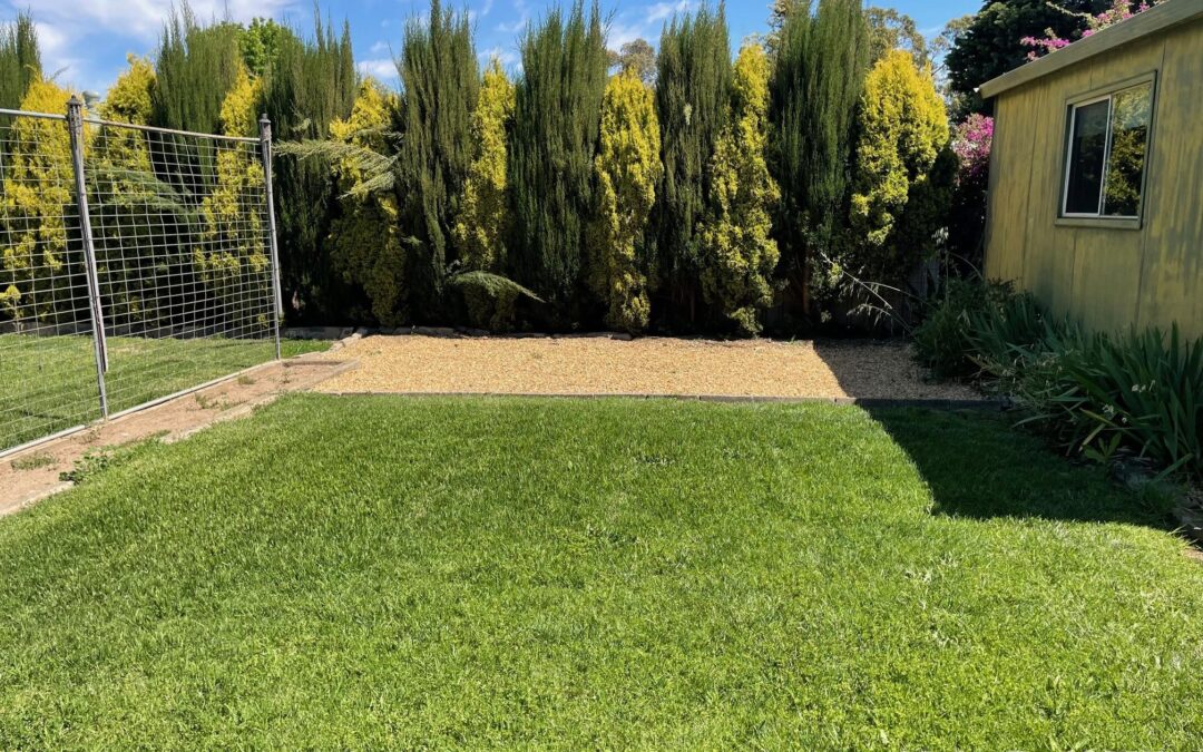 158 Murray Street, TANUNDA, SA 5352 AUS