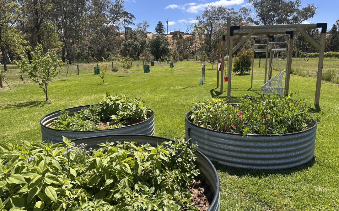 78 Langmeil Road, TANUNDA, SA 5352 AUS