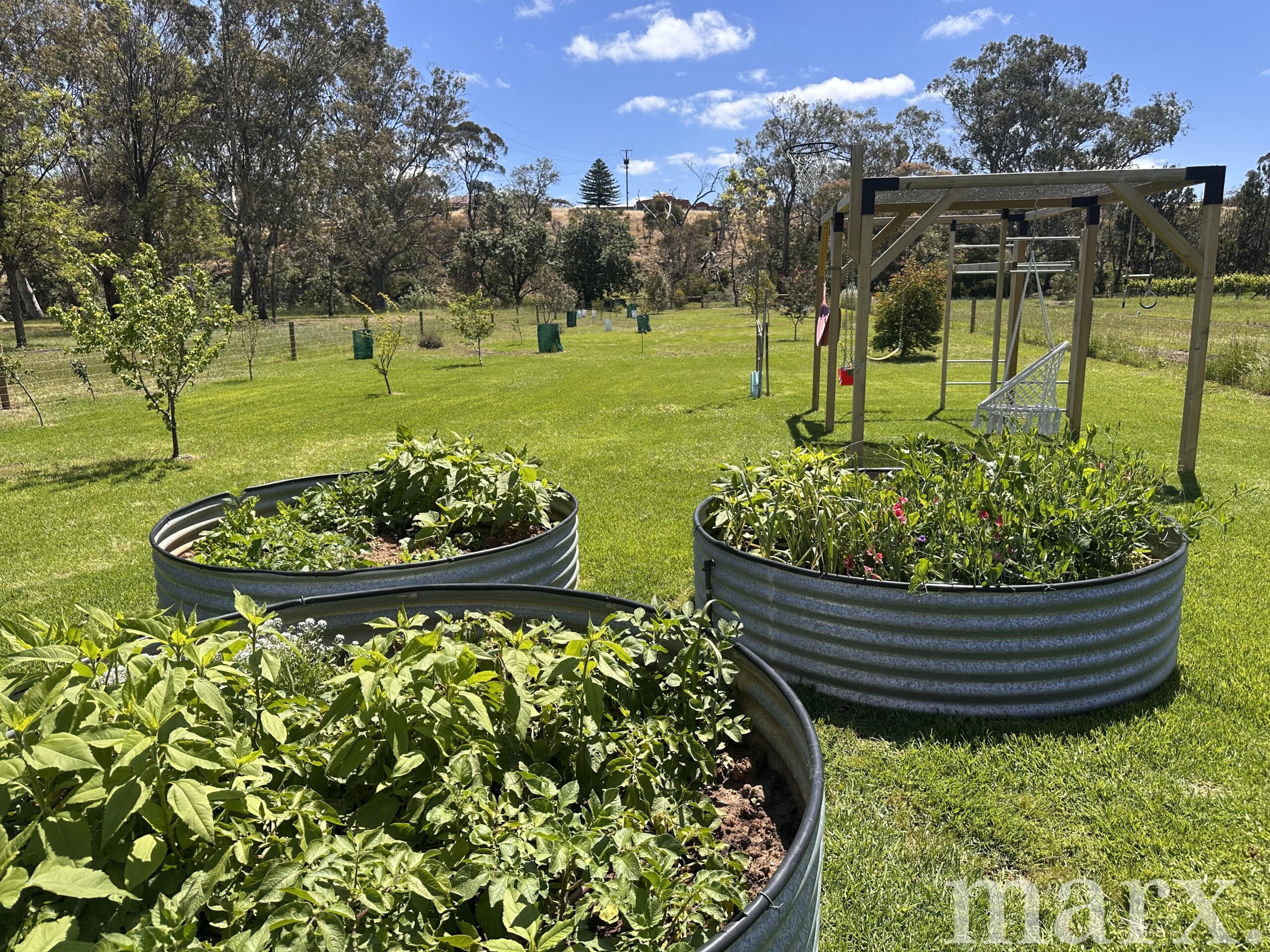 78 Langmeil Road, TANUNDA, SA 5352