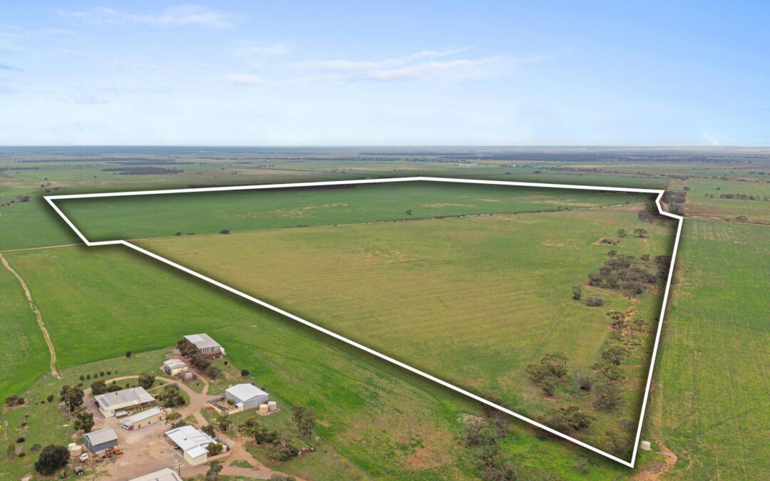 Lot 232 Old Railway Road, STEINFELD, SA 5356 AUS