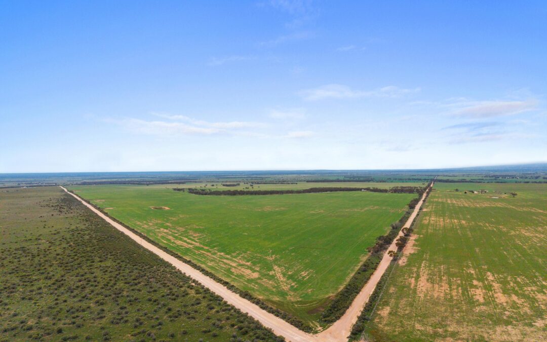 Lot 232 Old Railway Road, STEINFELD, SA 5356 AUS
