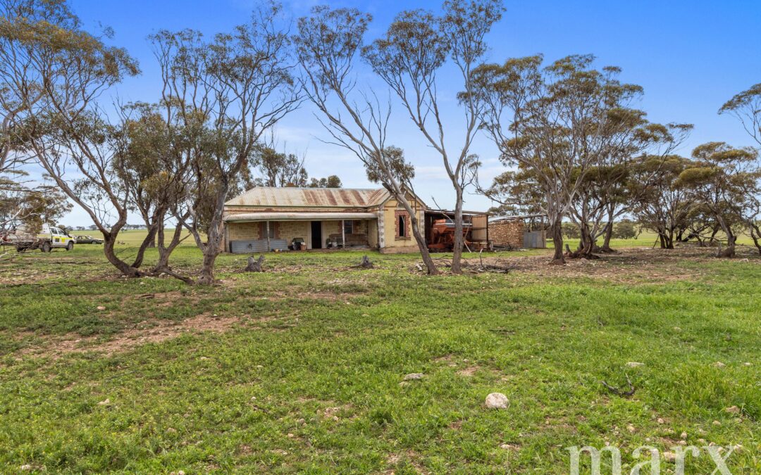 Lot 232 Old Railway Road, STEINFELD, SA 5356 AUS