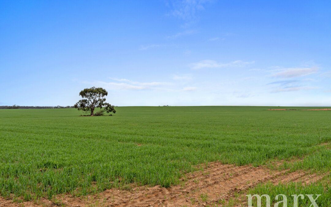 Lot 232 Old Railway Road, STEINFELD, SA 5356 AUS